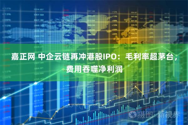 嘉正网 中企云链再冲港股IPO：毛利率超茅台，费用吞噬净利润