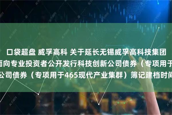 口袋超盘 威孚高科 关于延长无锡威孚高科技集团股份有限公司2025年面向专业投资者公开发行科技创新公司债券（专项用于465现代产业集群）簿记建档时间的公告